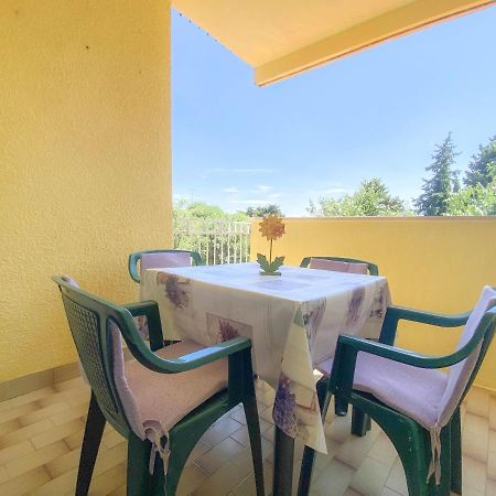 Apartament Olga Novigrad  Zewnętrze zdjęcie